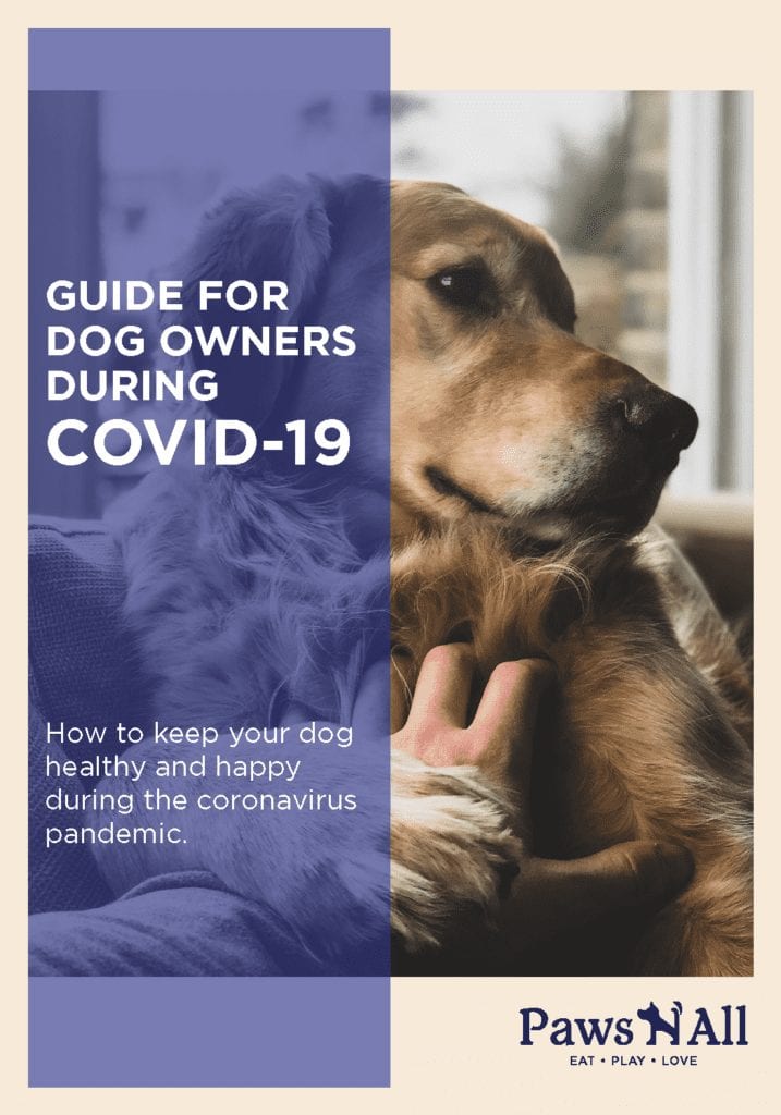 covid-19 dog ebook australia