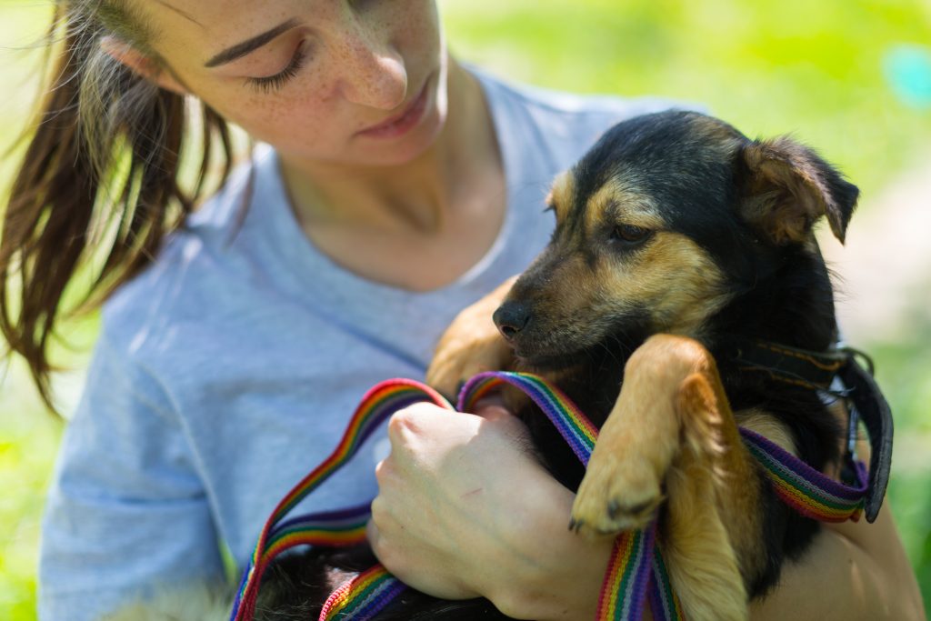 First-hand tips for adopting a rescue dog