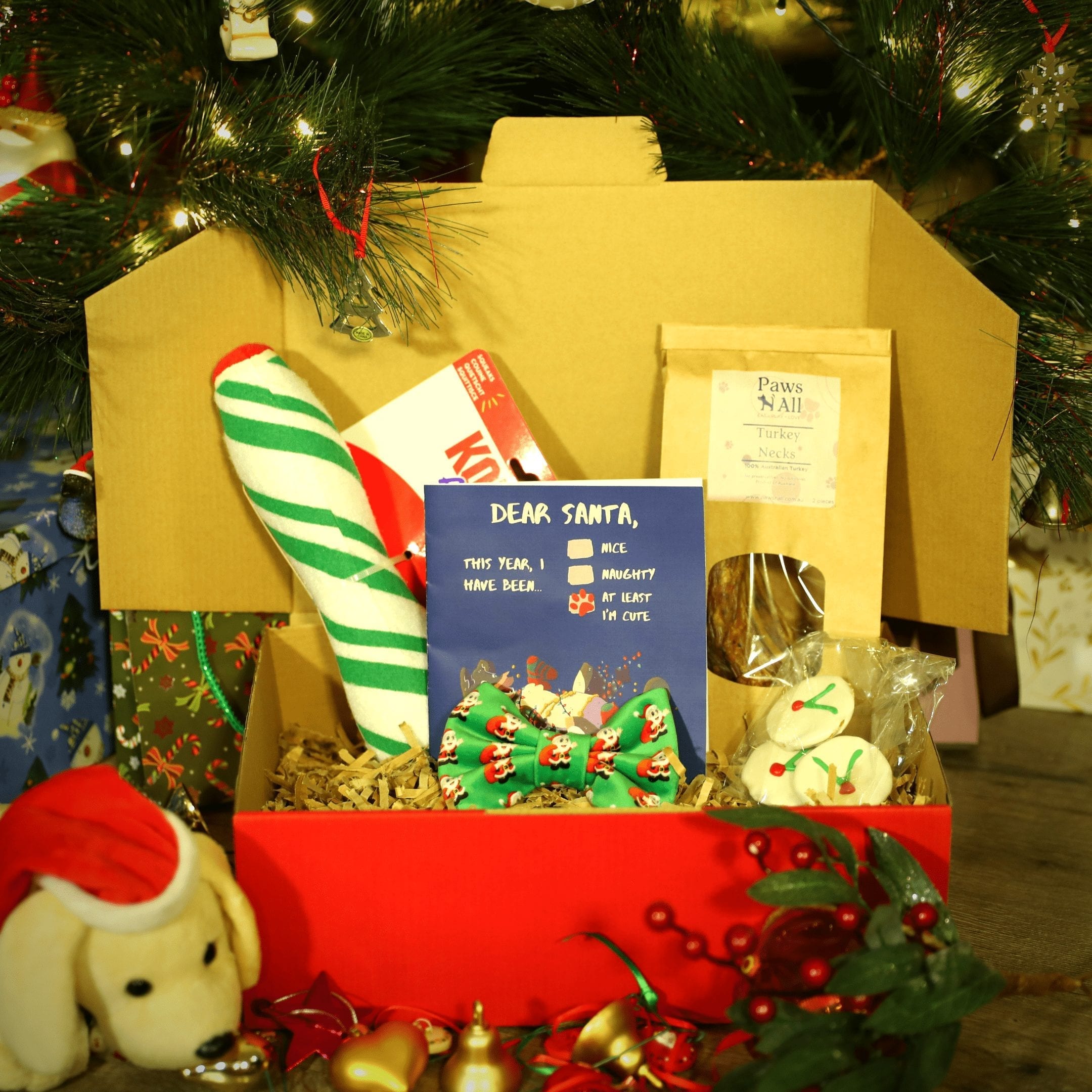 Christmas Gift Boxes for Dogs - Paws N' All