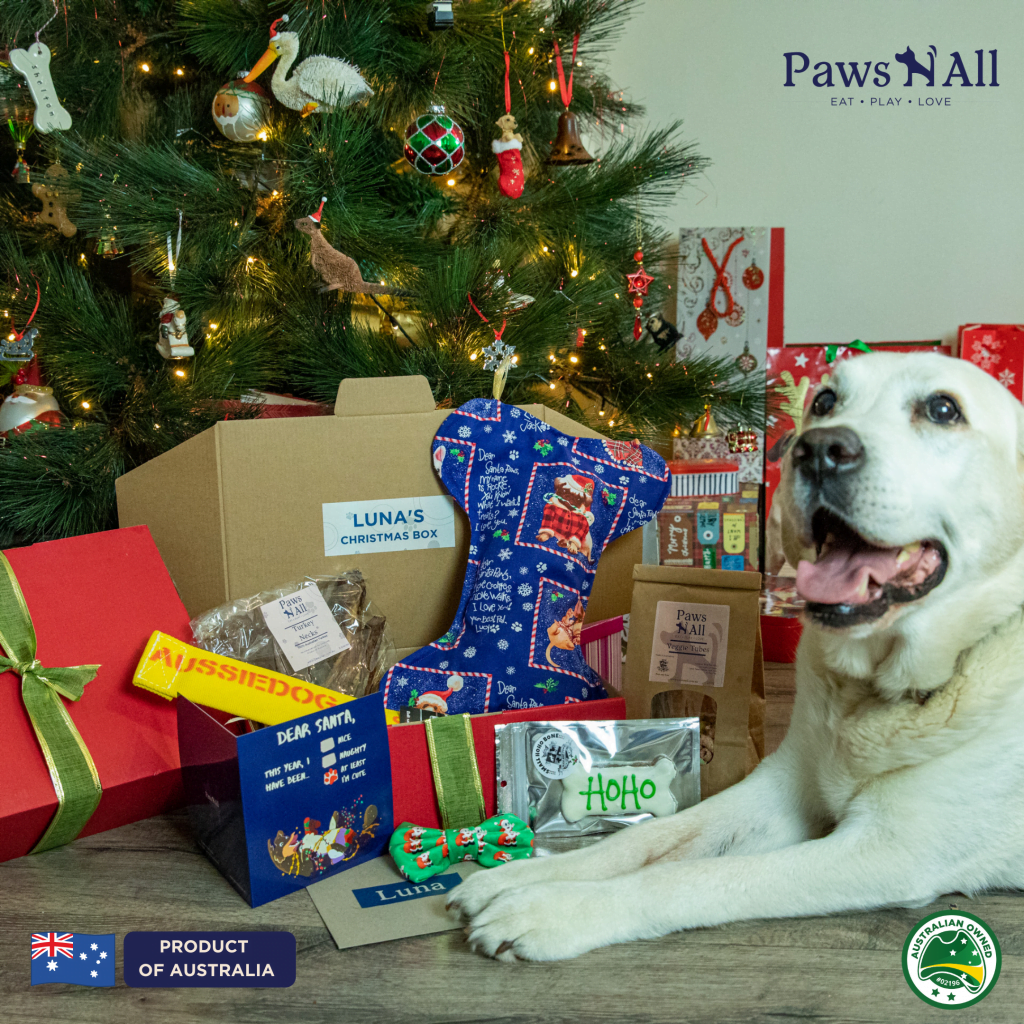 Christmas Gift Boxes for Dogs - Paws N' All