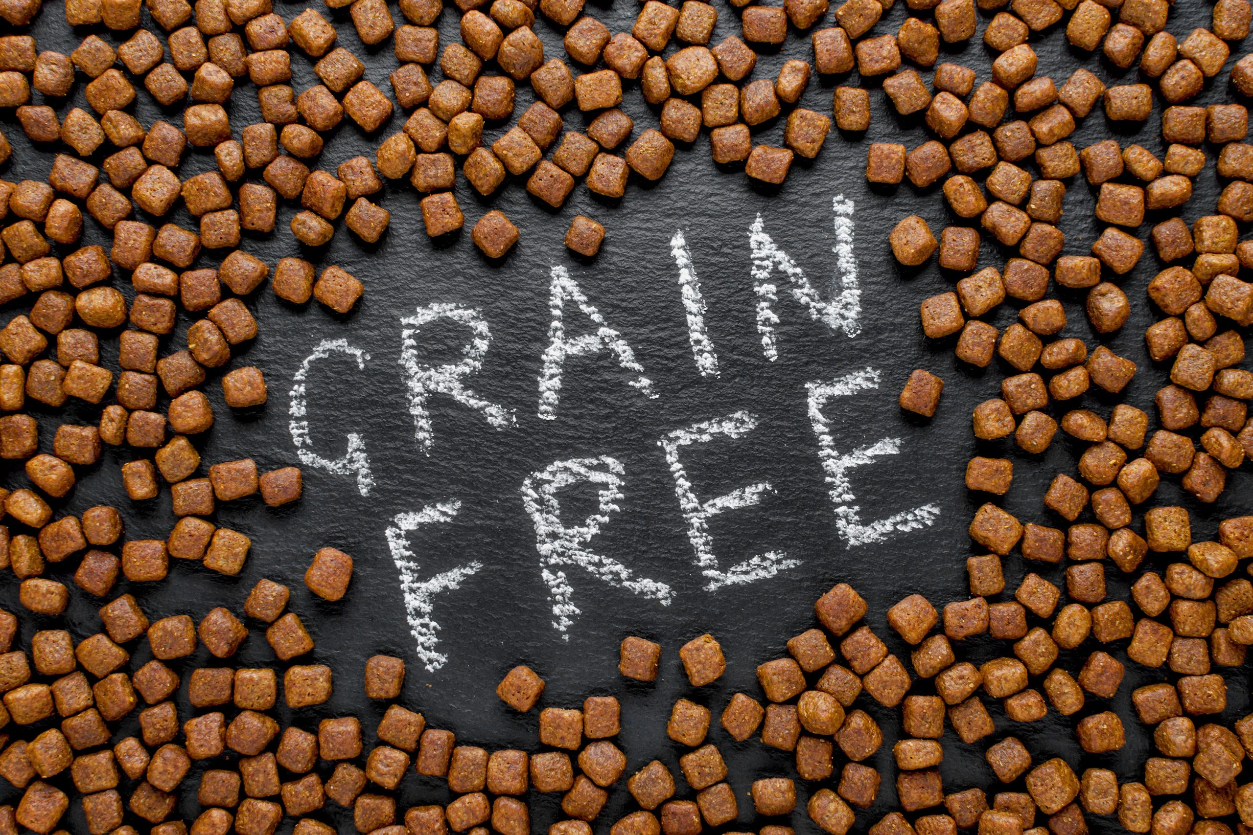 grain free diets in dogs