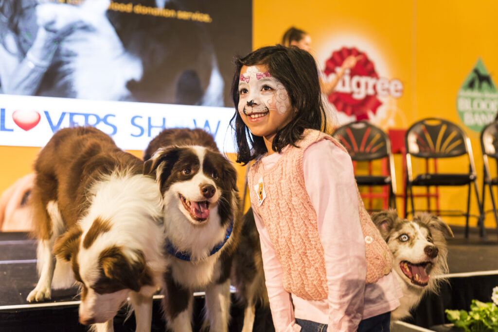 Dog Lovers Show 2022 doggy face painting